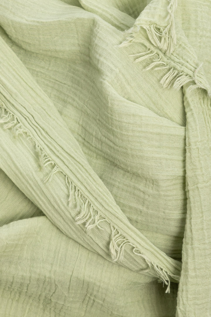 Solid Cotton Fringed Scarf Honey Dew