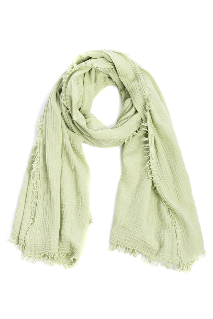 Solid Cotton Fringed Scarf Honey Dew