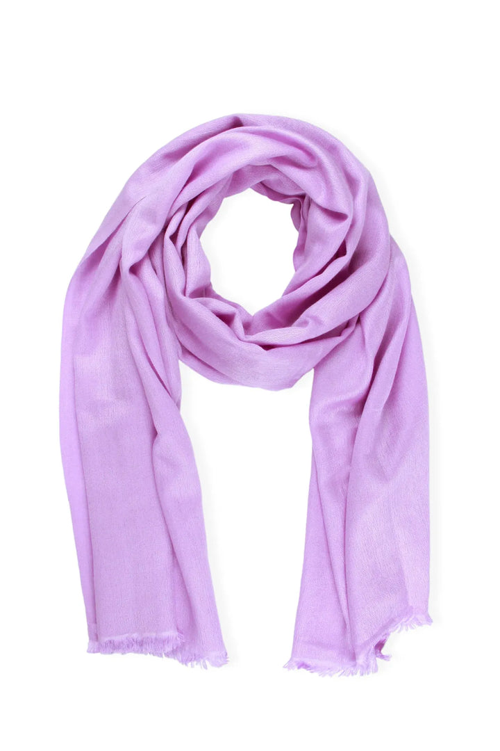 Cashmere Silk Scarf - SAACHI - Plum - Scarf